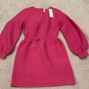 Janie and Jack Vibrant Pink Knit Dress